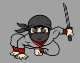 Ninja japonés