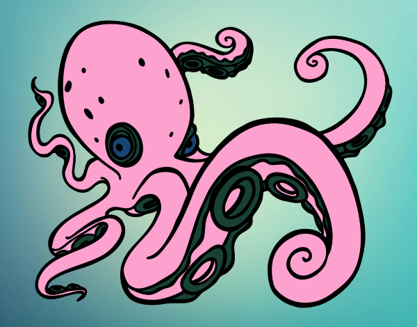 Pulpo enfadado