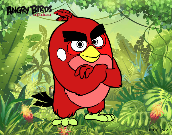 Red de Angry Birds