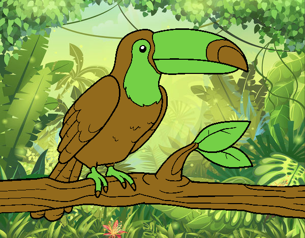 Un tucan verde y marron