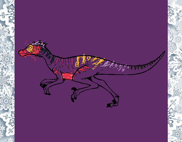 Velociraptor