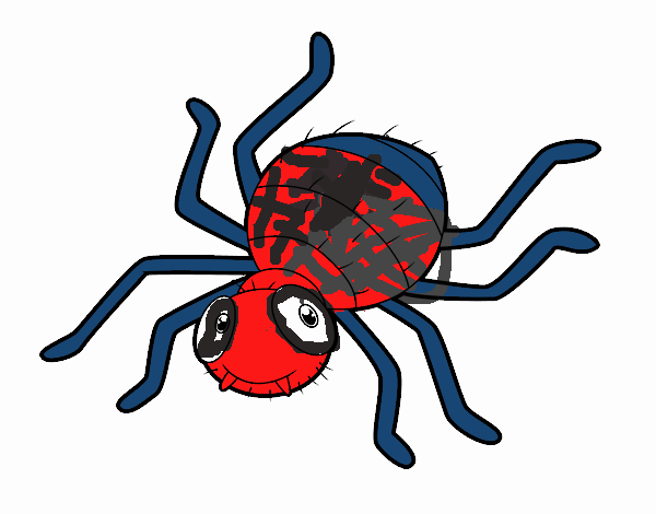 Araña infantil