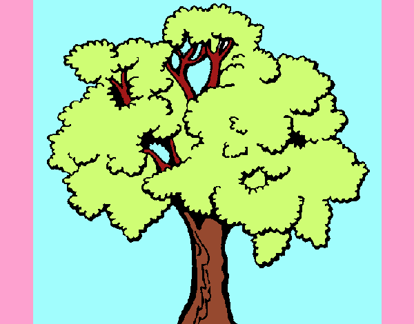 Árbol 1