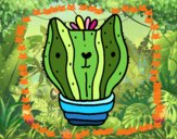 Cactus gato