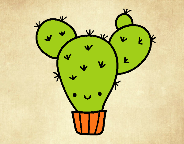 Cactus nopal