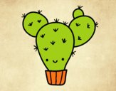 Cactus nopal