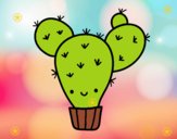 Cactus nopal