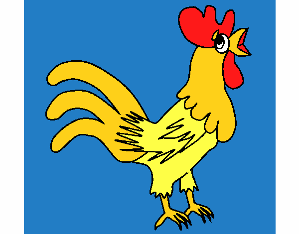 Gallo 2