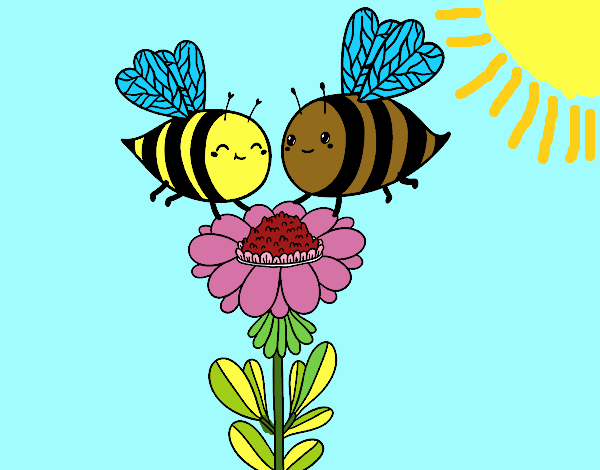 Pareja de abejas