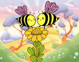 Pareja de abejas