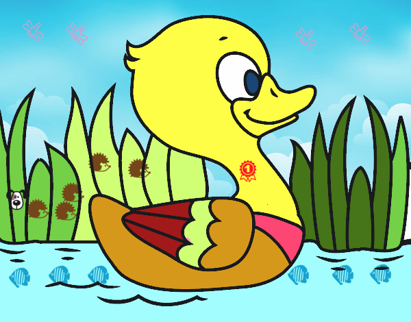 Patito de río