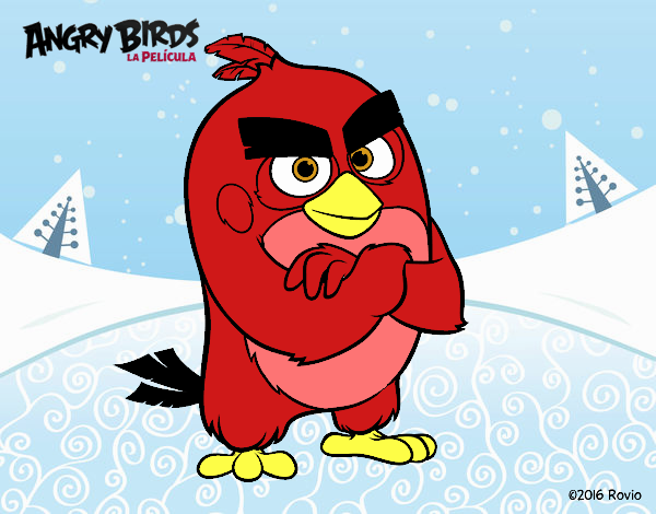 Red de Angry Birds