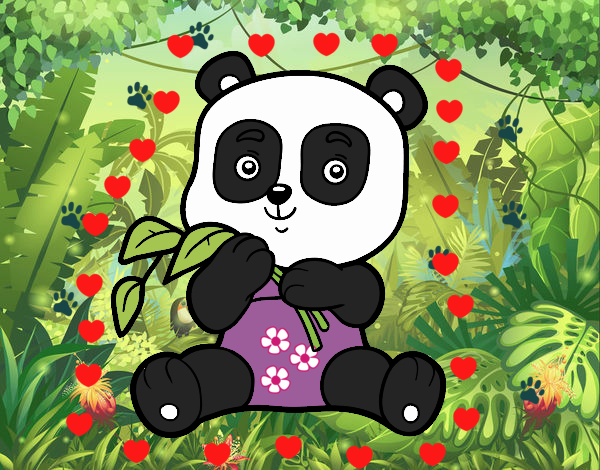 Pandita en el bosque  