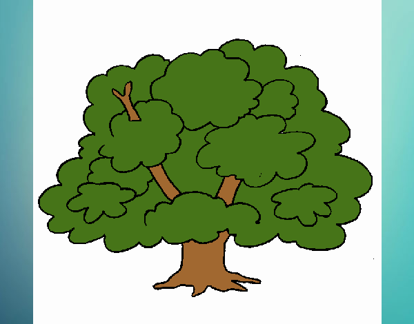 Árbol