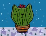 Cactus gato