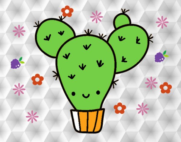 Cactus nopal