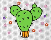 Cactus nopal