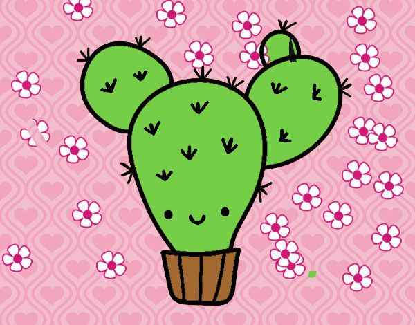 Cactus nopal