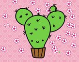 Cactus nopal