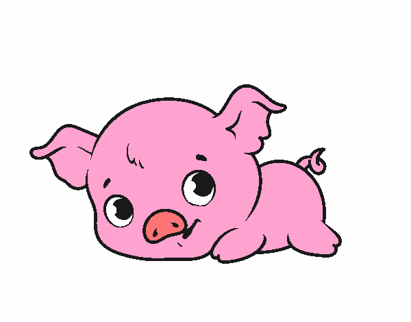 bebe cerdito hermoso