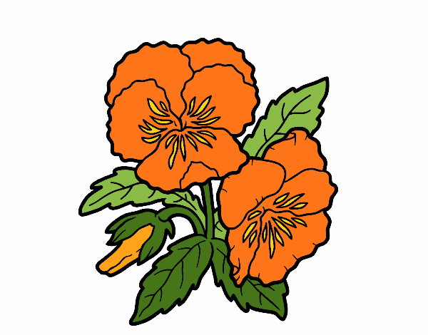 Dibujo de naranja pintado por en  el día 20-11-21 a las  00:43:57. Imprime, pinta o colorea tus propios dibujos!