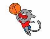 Gato jugando a baloncesto