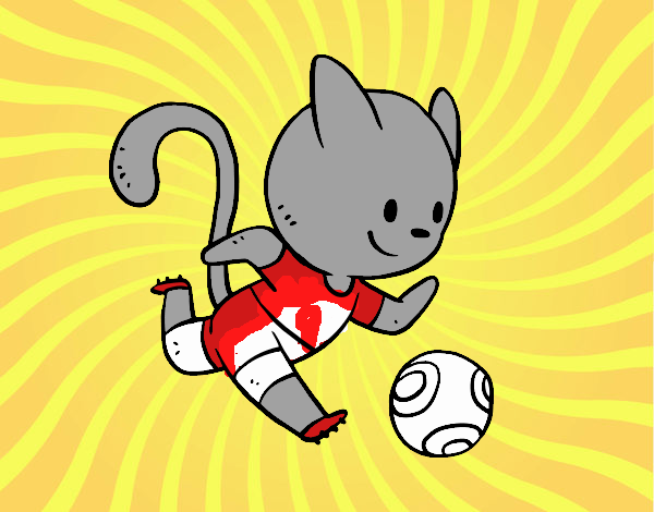 Gato jugando a fútbol