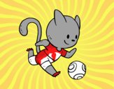 Gato jugando a fútbol