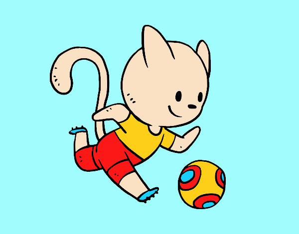 Gato jugando a fútbol