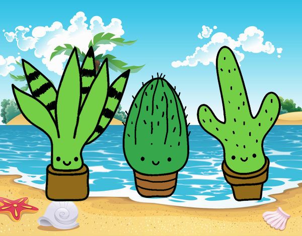 Los tres cactus