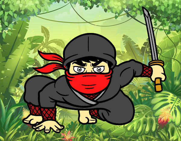 Ninja japonés