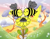 Pareja de abejas