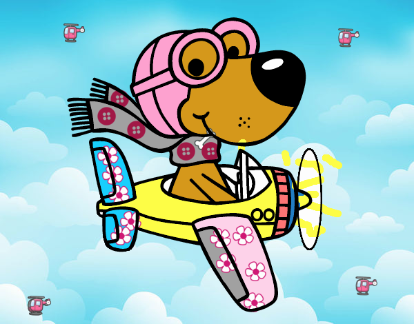 Perro piloto