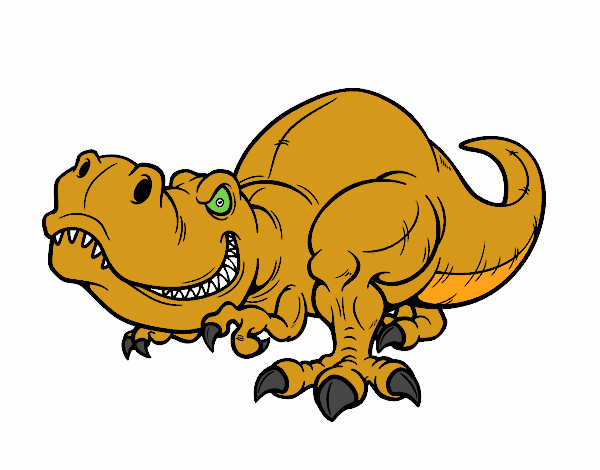 REXY    