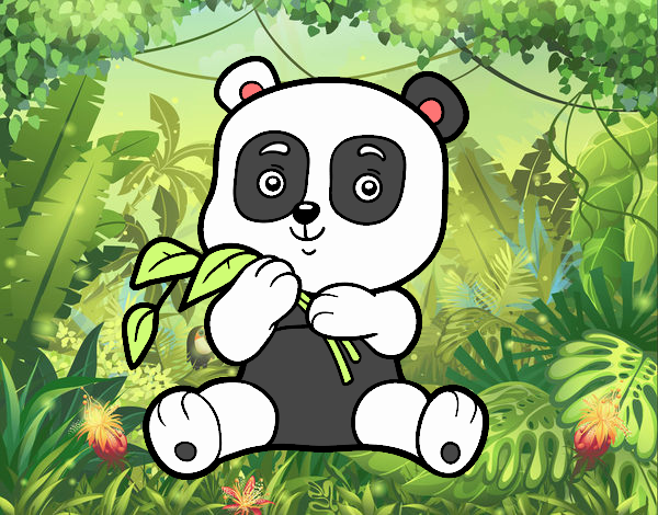 pandi