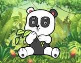 Un oso panda