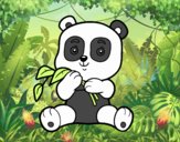 Un oso panda