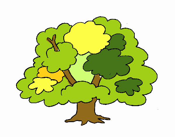 árbol