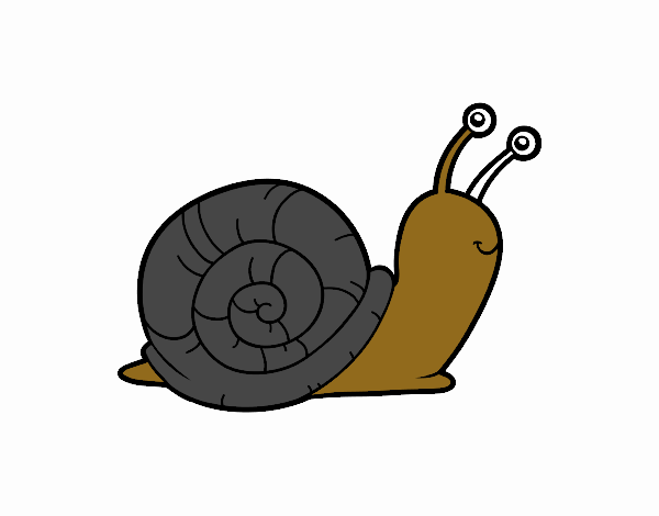 El caracol