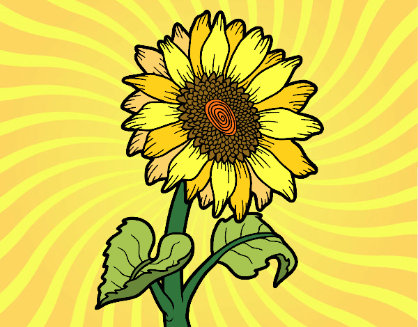 el girasol de la vida