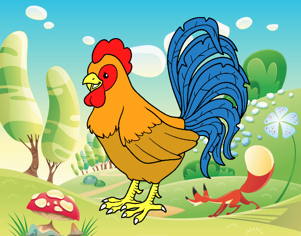 Gallo de una granja