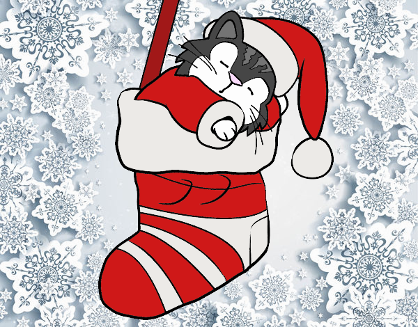 Gatito durmiendo en un calcetín de Navidad