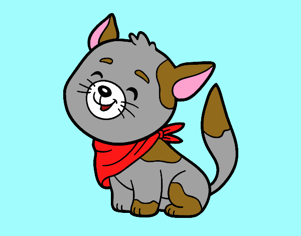 Gato con bandana