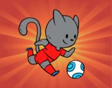 Gato jugando a fútbol