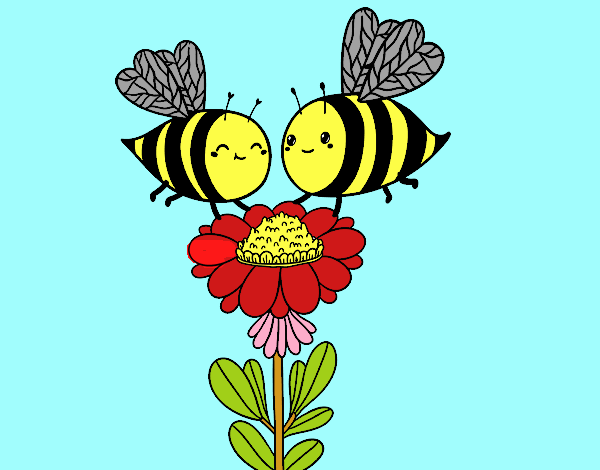 Pareja de abejas