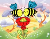 Pareja de abejas