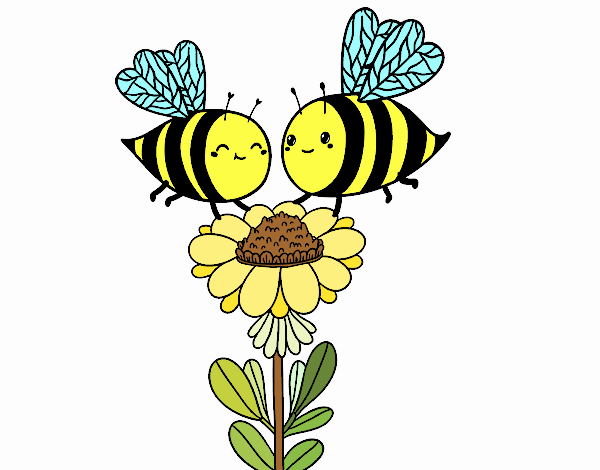 Pareja de abejas