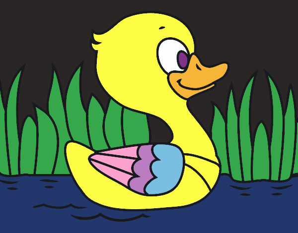 Patito de río