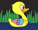 Patito de río