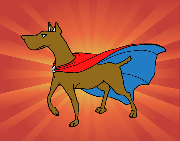 Perro superhéroe